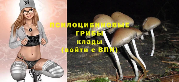 мдпв Покачи