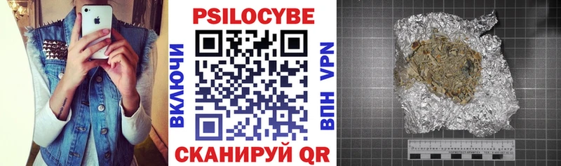 кракен вход наркота Чёрмоз Псилоцибиновые грибы Psilocybe